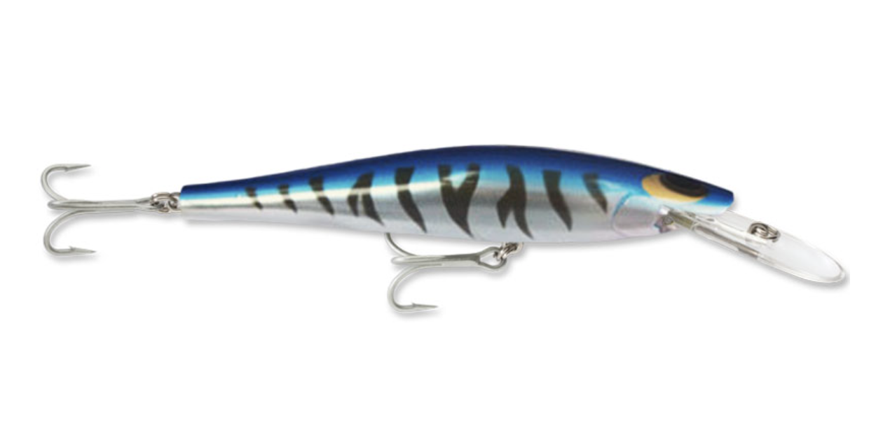 A view of a WILLIAMSON SPEED PRO DEEP 160 lure.