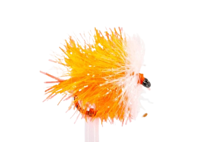 SCIENTIFIC FLY Blob Orange Clear #12