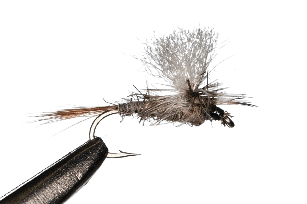 SCIENTIFIC FLY Fresh Adams Parachute Std #14 SCIENTIFIC FLY Fresh Adams Parachute Std #14 - Image 1