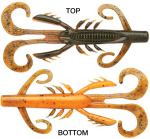 CRUSH CITY Hedgehog 4